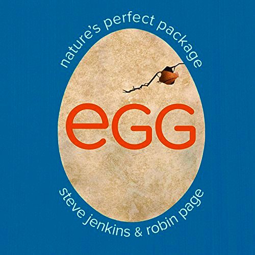 Egg by Steve Jenkins