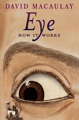 Eye How it Works