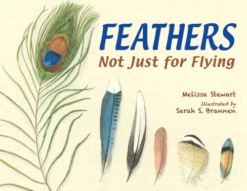 Feathers Not Just for Flying