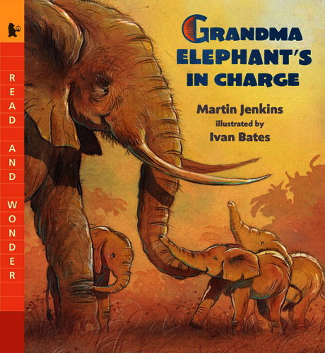 Grandma Elephants in Charge