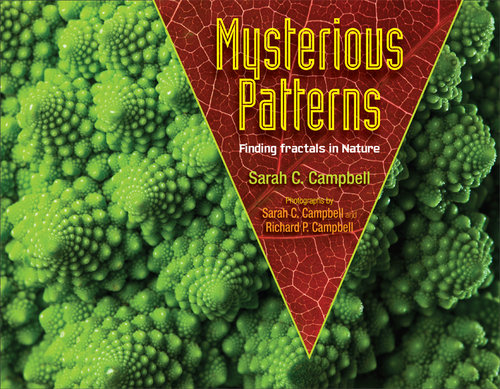 Mysterious Patterns - Finding Fractals in Nature Book