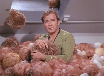 A couple of my co-workers pointed out that fuzzles are very similar to the titular pest in the Star Trek episode, “The Trouble with Tribbles.”