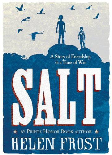 Salt by Helen Frost