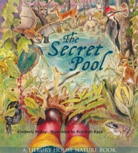 The Secret Pool by Kimberly Ridley - Booksource