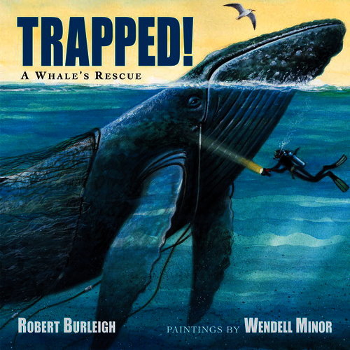 Trapped! A Whale's Rescue by Robert Burleigh