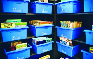 Building Blocks - Blue Bin Classroom Library Organizers