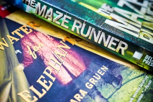 Maze Runner 2