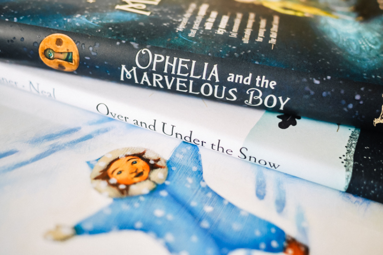 Book Covers Ophelia and the Marvelous Boy