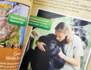 picture book biographies about women in STEM: Jane Goodall