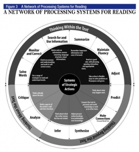 A Network of Processing Systems for Reading
